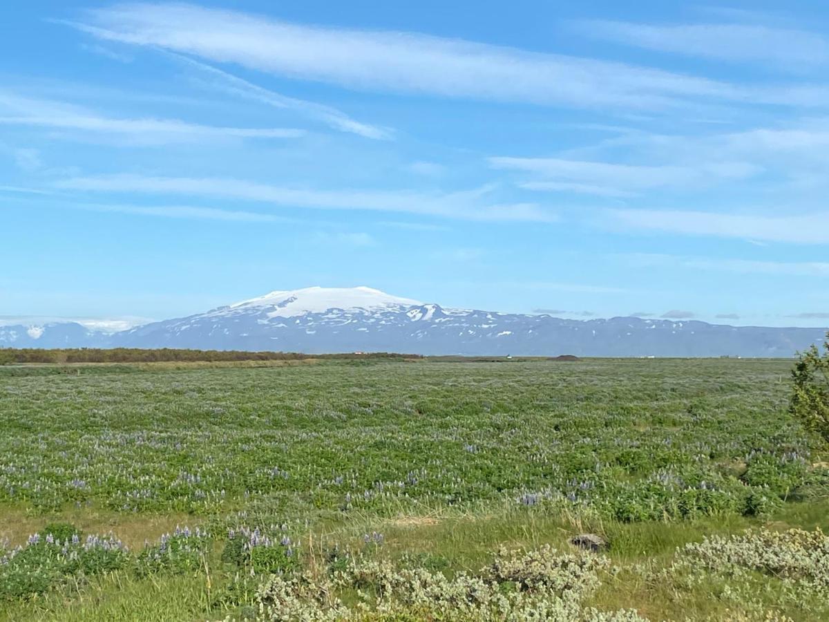 Vila Uxahryggur Hvolsvöllur Exteriér fotografie