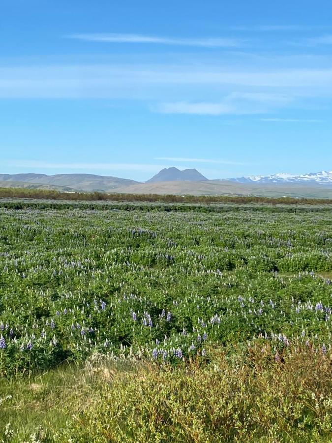 Vila Uxahryggur Hvolsvöllur Exteriér fotografie