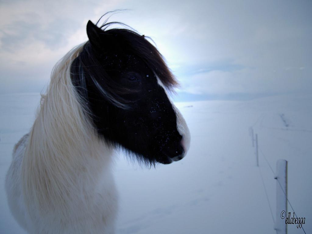 Vila Uxahryggur Hvolsvöllur Exteriér fotografie